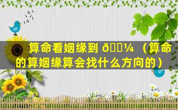 算命看姻缘到 🌼 （算命的算姻缘算会找什么方向的）